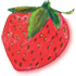 illu-fraise.png