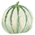 illu-melon.png